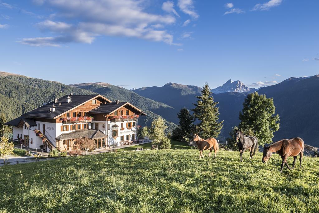 Herol - My Mountain Retreat Luson Exterior photo